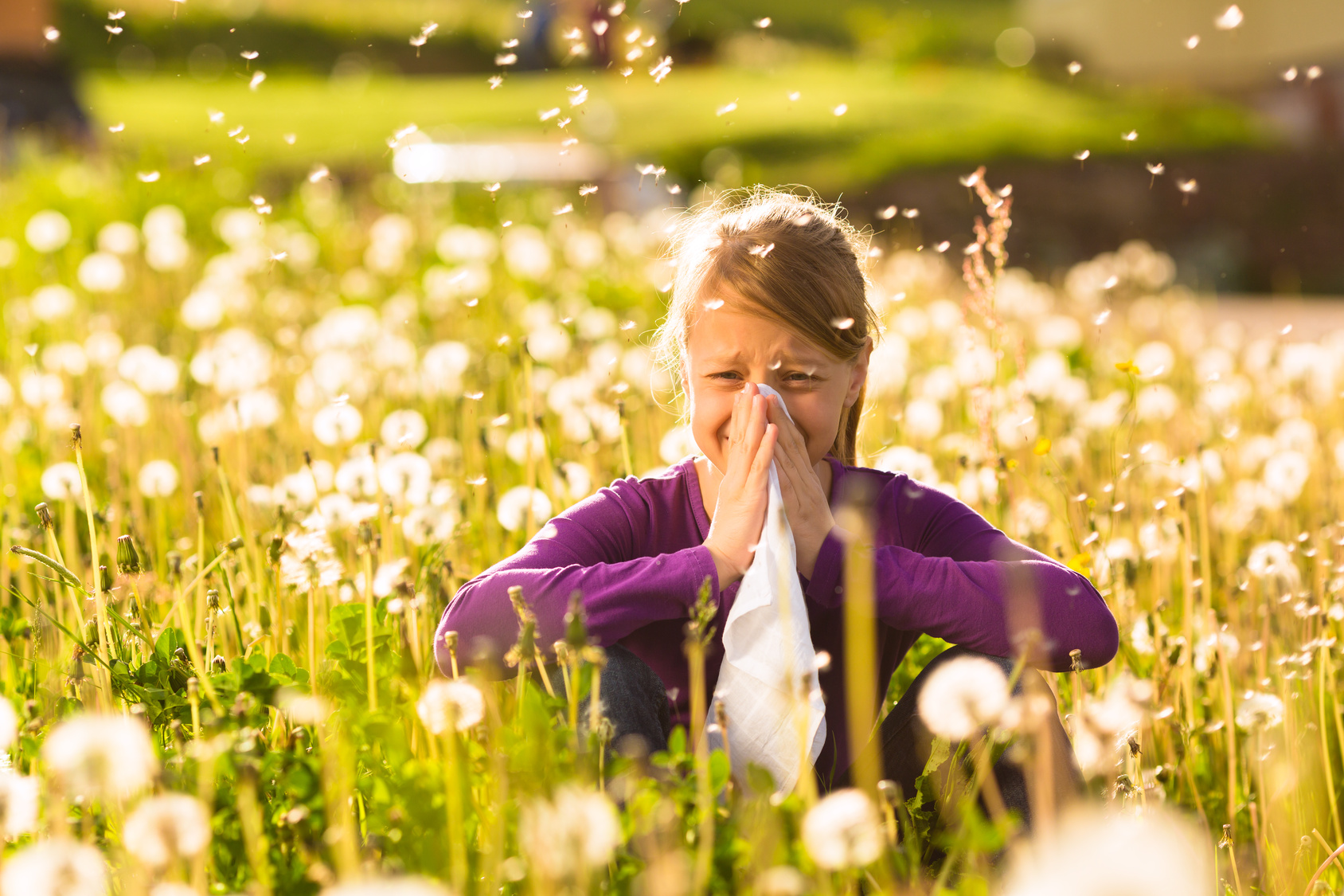 Arrivano i pollini di primavera, l’allergia è in agguato